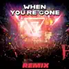 ONY9RMX - When You're Gone (Remix) - Single